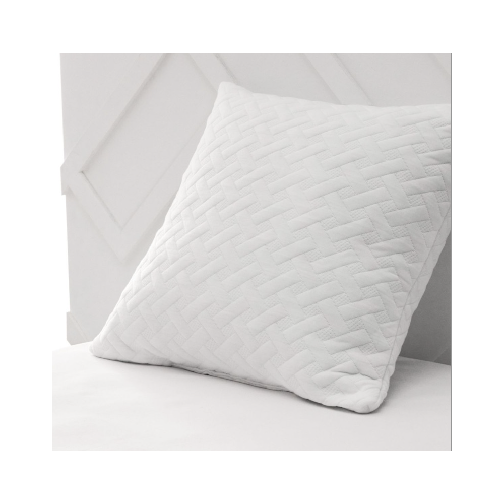 Oreiller a mémoire de forme 60x60cm Oreiller a mémoire de forme 60x60cm