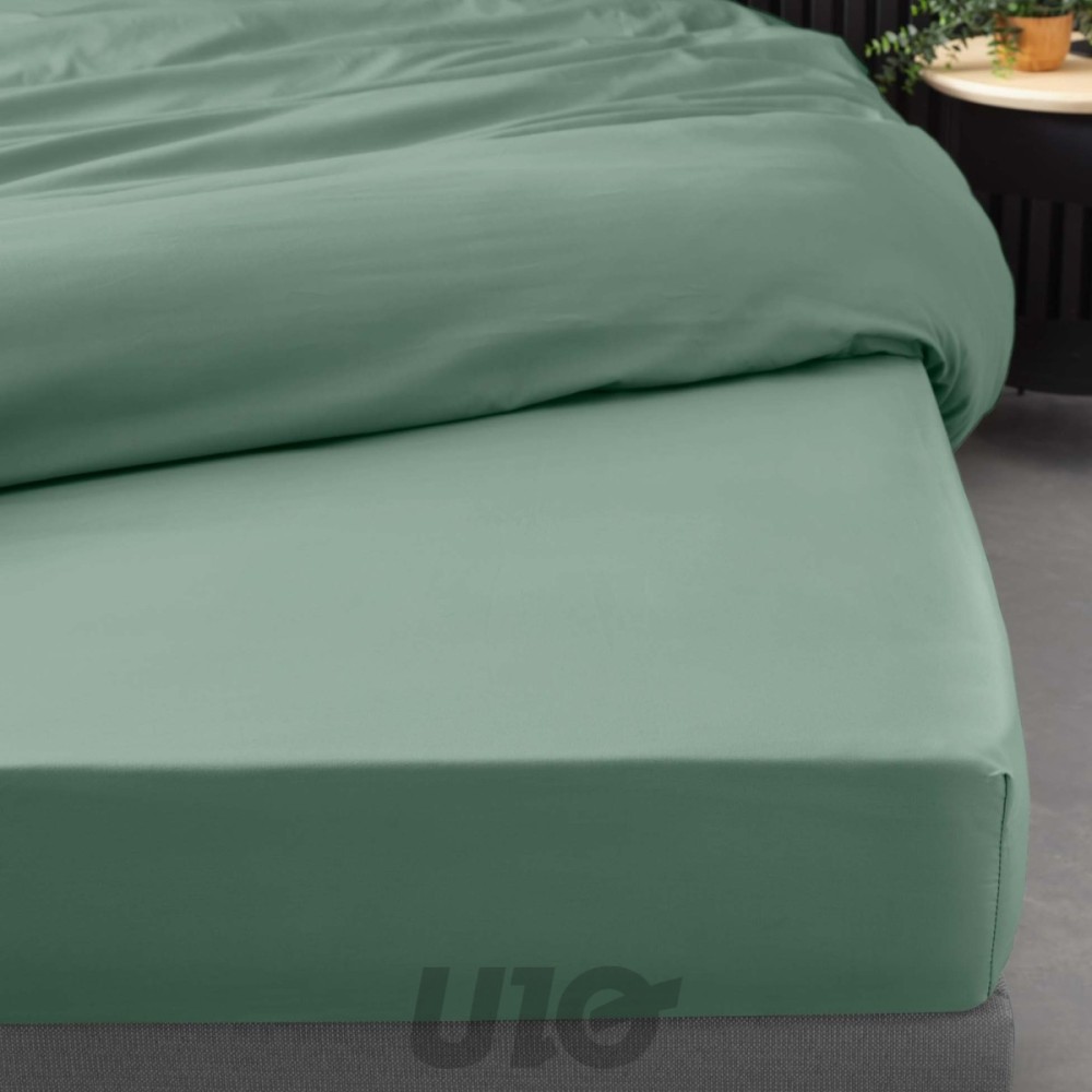 Drap Housse Percale - Bonnet 30 Cm_