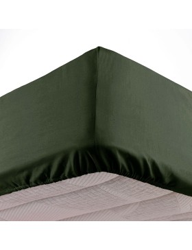 Drap Housse Microfibre Oscar