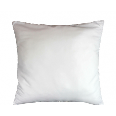 Lot de 2 Oreillers, Uni Confort, 60 X 60cm Garnissage Polyester