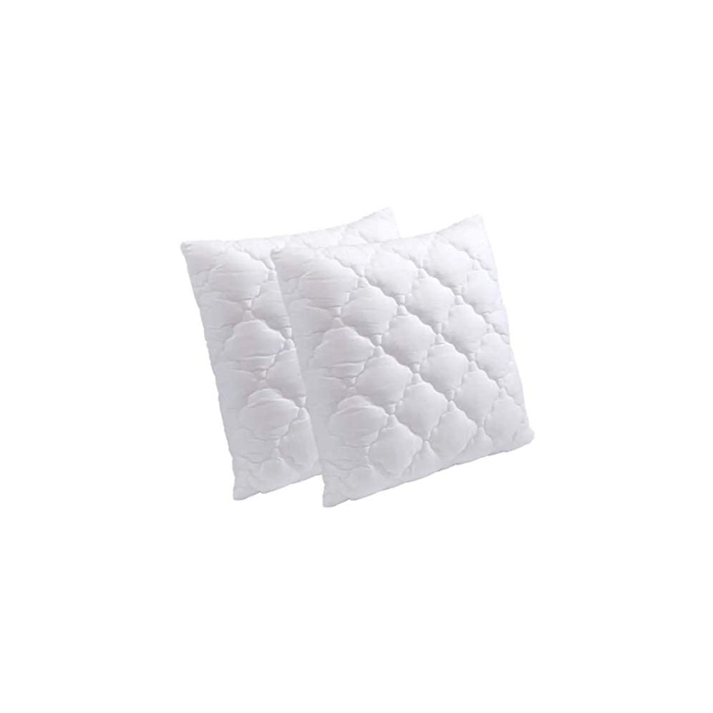 Lot de 2 Oreillers, Coussins à Mémoire de Forme, Spécial Cervicale, Jean Louis Scherrer 60x60 cm Lot de 2 Oreillers, Coussins à Mémoire de Forme, Spécial Cervicale, Jean Louis Scherrer 60x60 cm